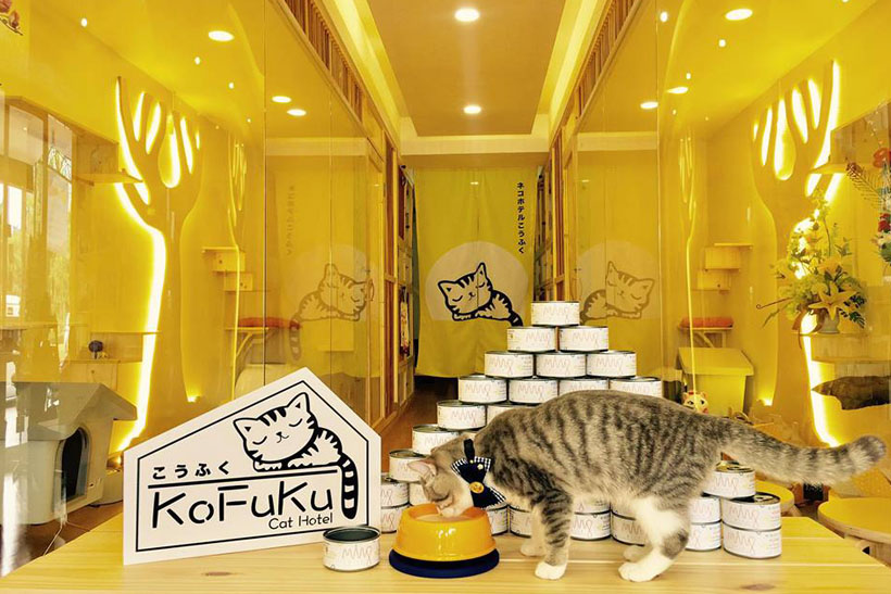 พร้อมอยู่แล้วที่ Kofuku Cat Hotel โรงแรมแมวๆ ยกทัพน้องแมวไปเช็คอินกันได้เลย